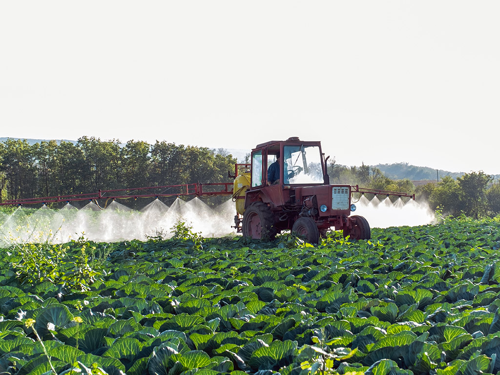 ISMEA: Liquidità alle imprese agricole e della pesca